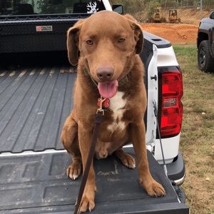 Meet your Posher, Jack